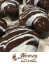 colomba artigianale al cioccolato